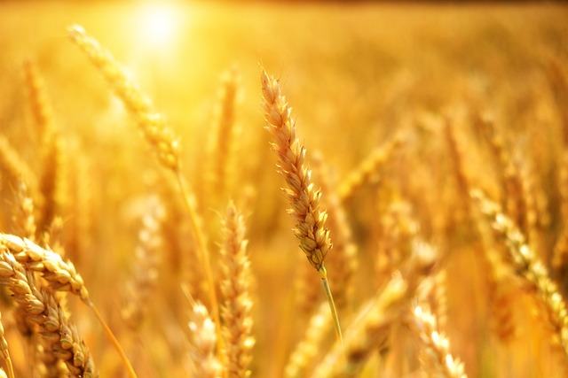 Práticas Sustentáveis no Campo